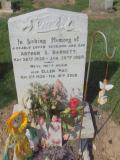 image of grave number 347889